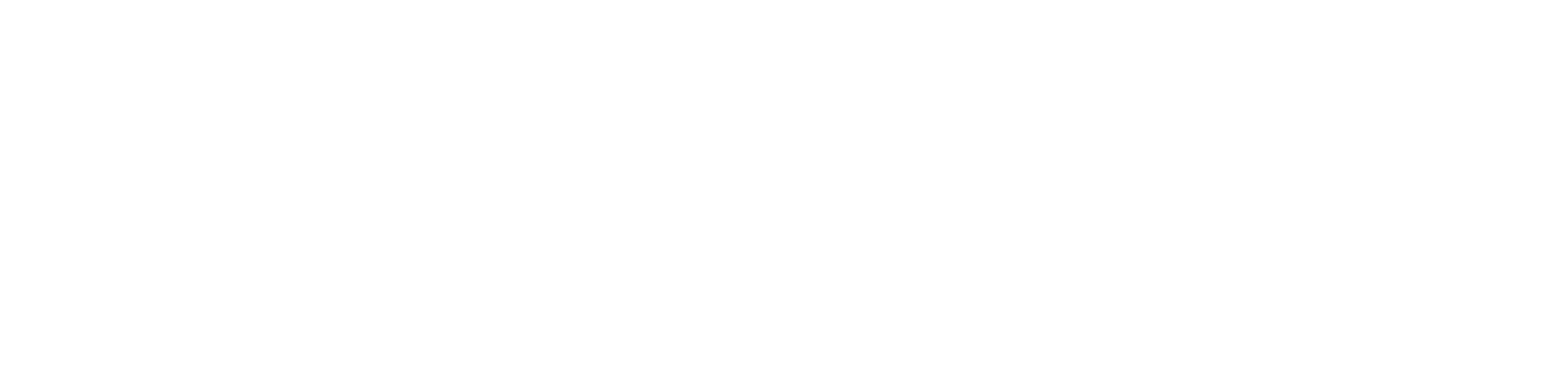 leslie-faircloth_logo-horizontal-white-s-1